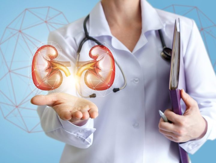 Kidney