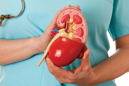 kidney-stone Kidney-Stone