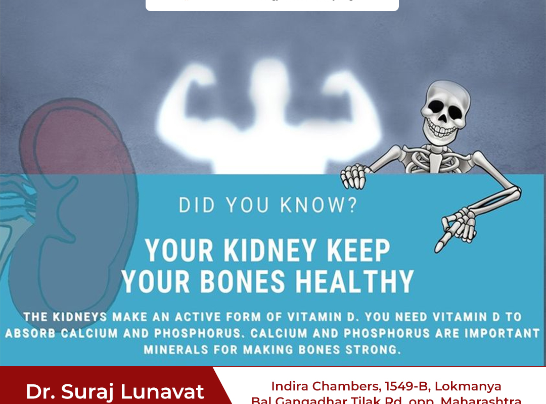 Your Kidney keep your bones healthy