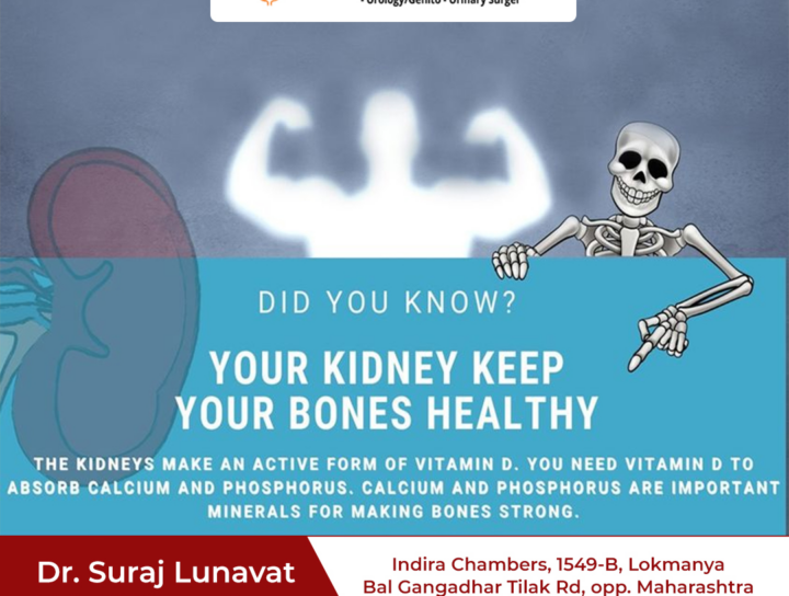 Your Kidney keep your bones healthy