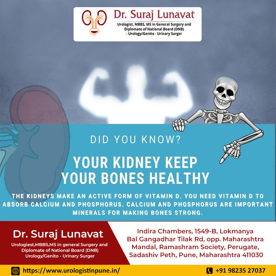 Your Kidney keep your bones healthy